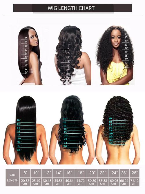 Photo Gallery Hair Length Guide Hair Color Chart Beauty Supply Hair ... |  Hair inches, Hair length guide, Hair length chart