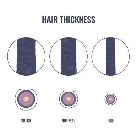 What is the distinction between hair density and hair thickness?