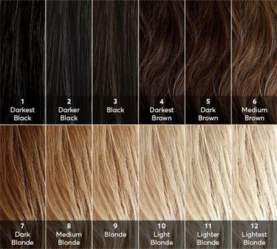 How To Find The Most Suitable Hair Color By Understanding The Hair Color  Wheel-Blog - 