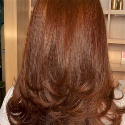 9 Best Ginger Brown Hair To Try This Winter-Blog - 