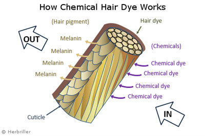 Is It Safe To Dye My Hair While Pregnant?-Blog - 