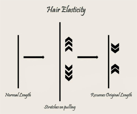 hair-elasticity
