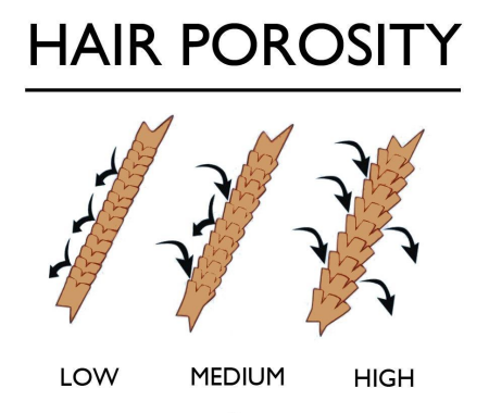 hair-porosity-picture