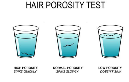 hair-porosity-test