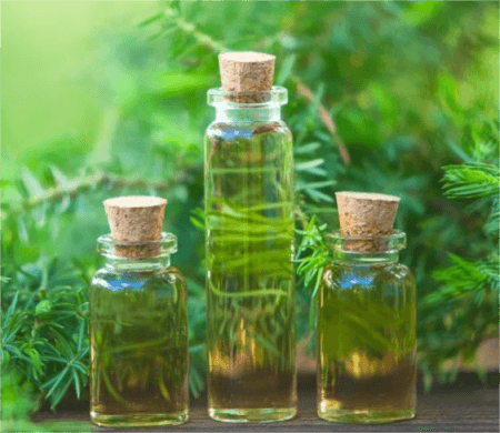 three-bottles-of-tea-tree-oil